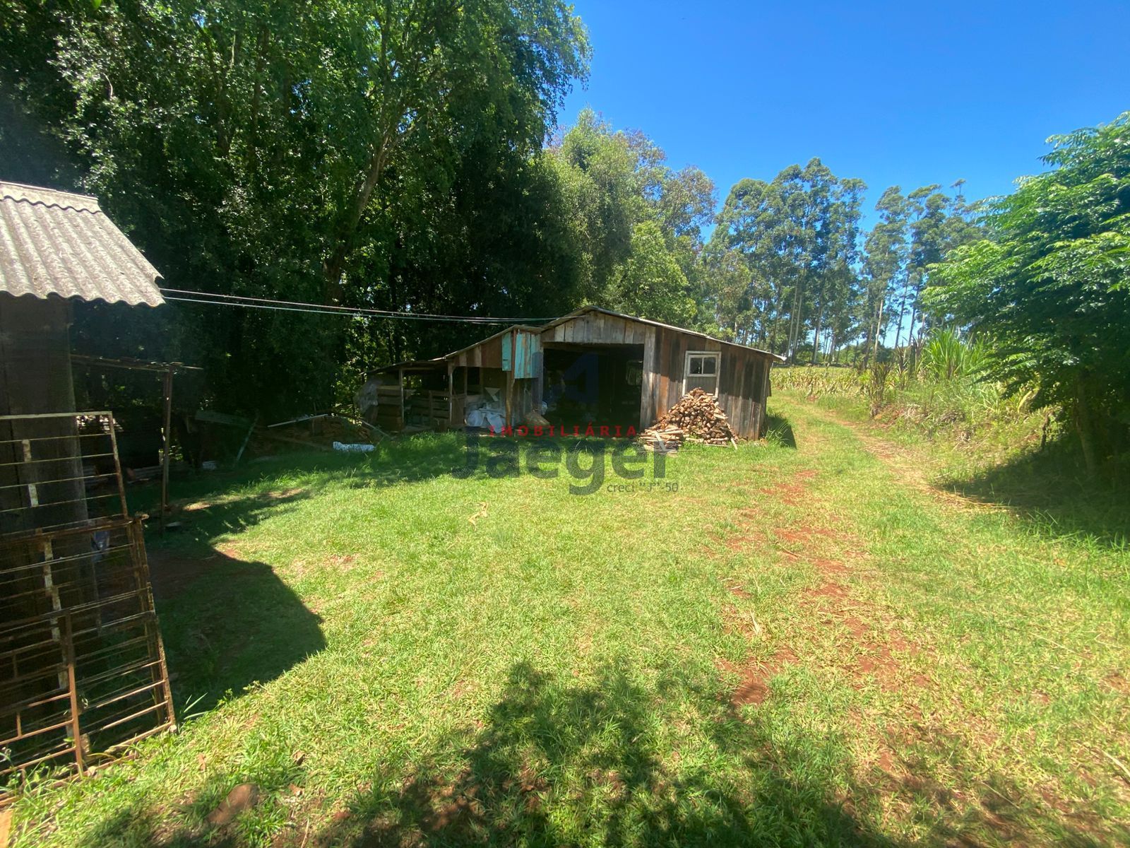 Chácara, 4 hectares - Foto 32