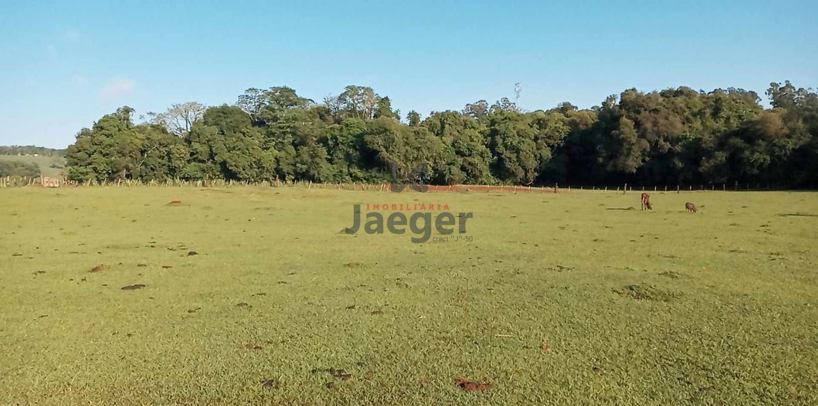 Fazenda à venda com 1 quarto, 200000000m² - Foto 8