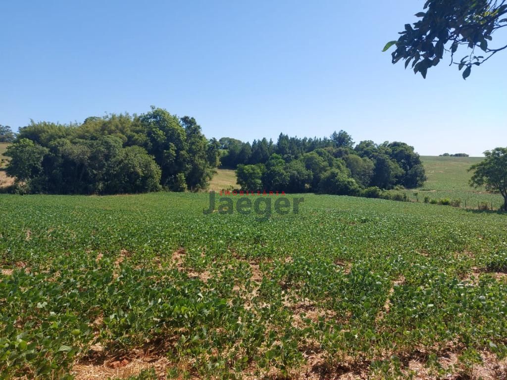 Fazenda à venda com 3 quartos, 79000m² - Foto 18