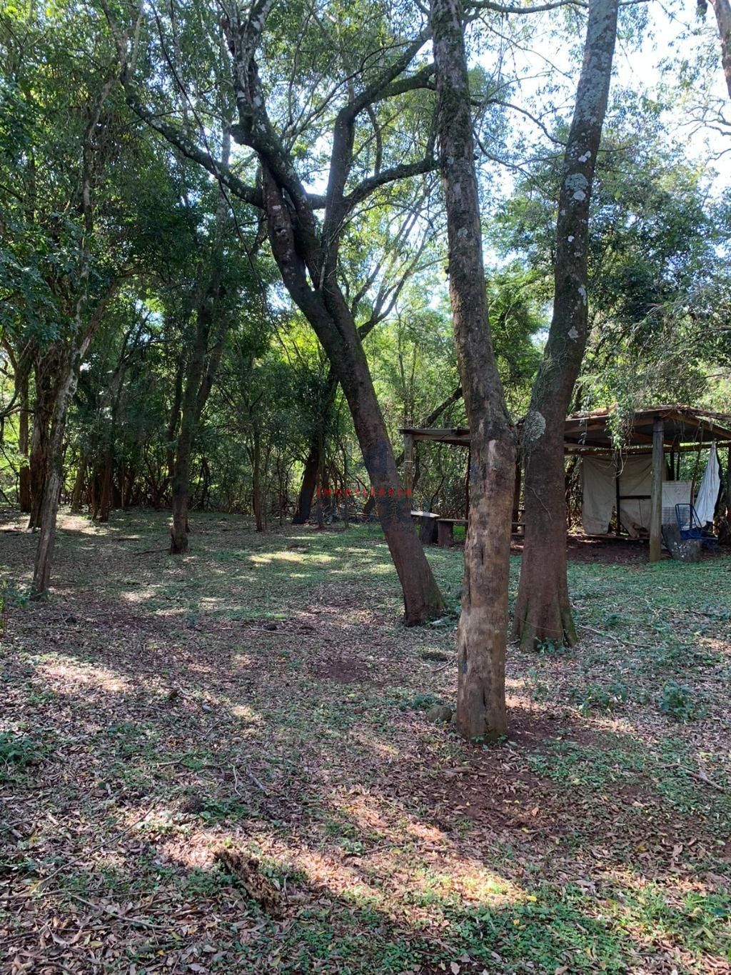 Fazenda à venda com 2 quartos, 89999m² - Foto 9