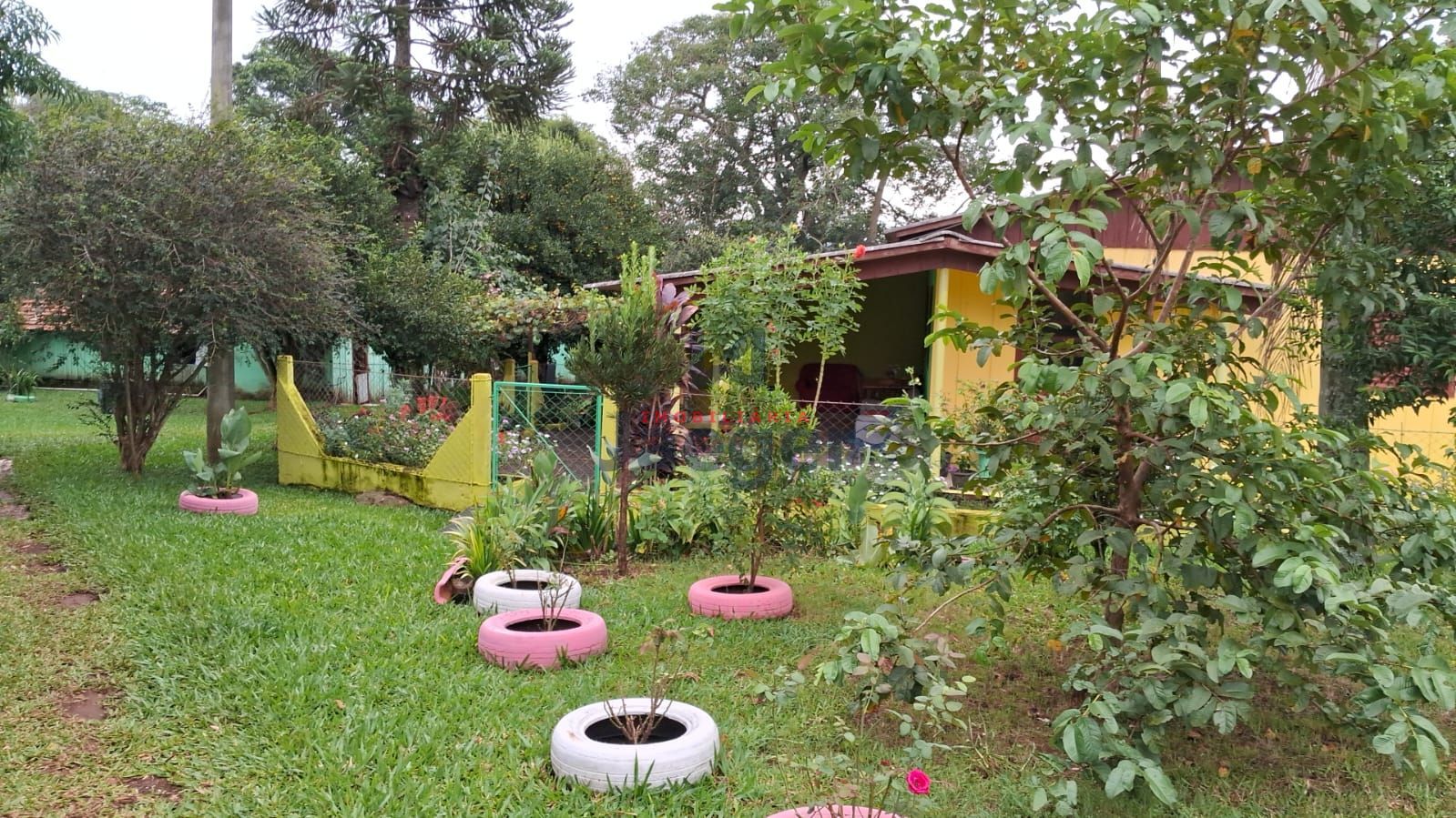 Chácara, 4 hectares - Foto 11