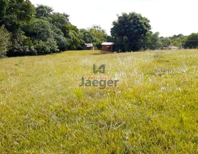 Fazenda à venda com 2 quartos, 10000m² - Foto 4