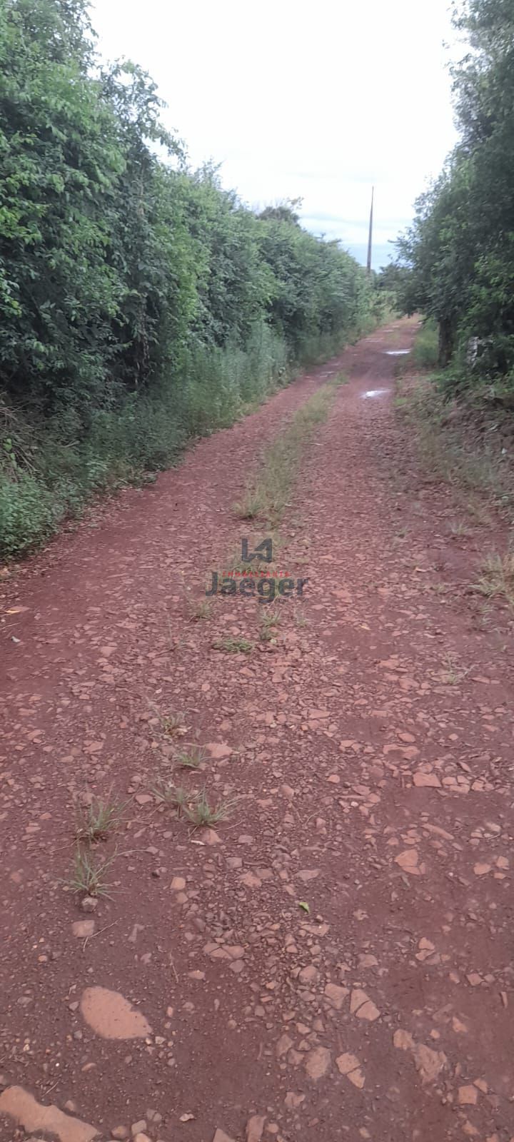 Chácara, 1 hectares - Foto 5