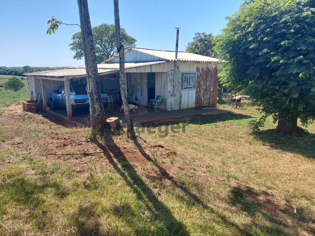 Fazenda à venda com 3 quartos, 79000m² - Foto 3