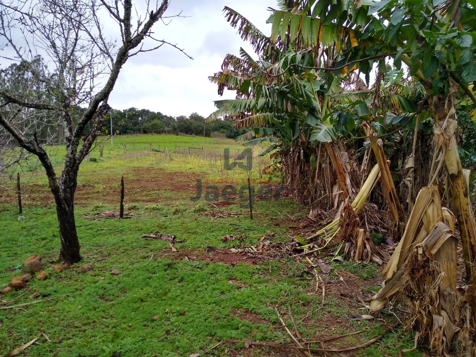 Sítio, 15 hectares - Foto 13