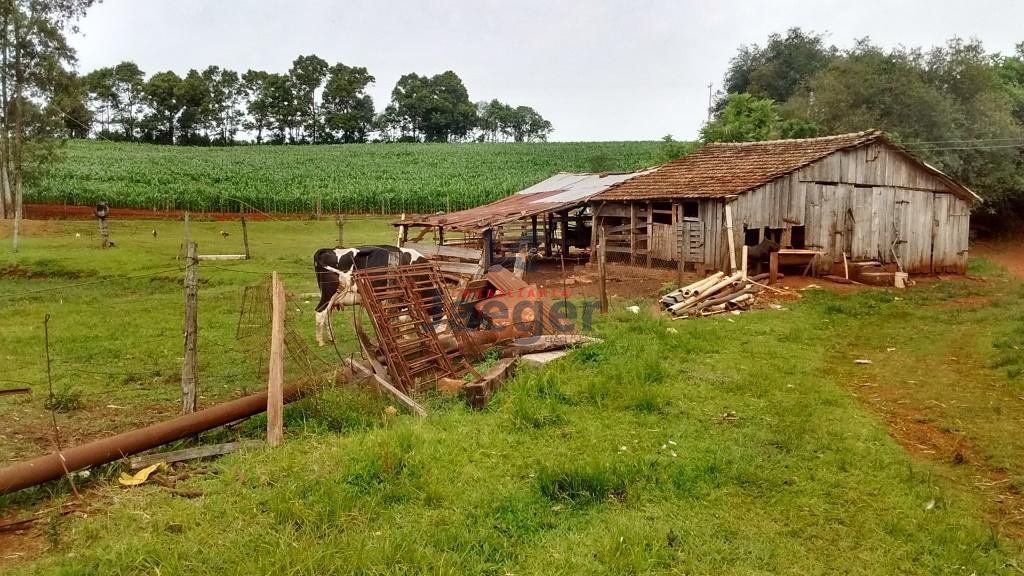Chácara à venda com 3 quartos, 10200000m² - Foto 15