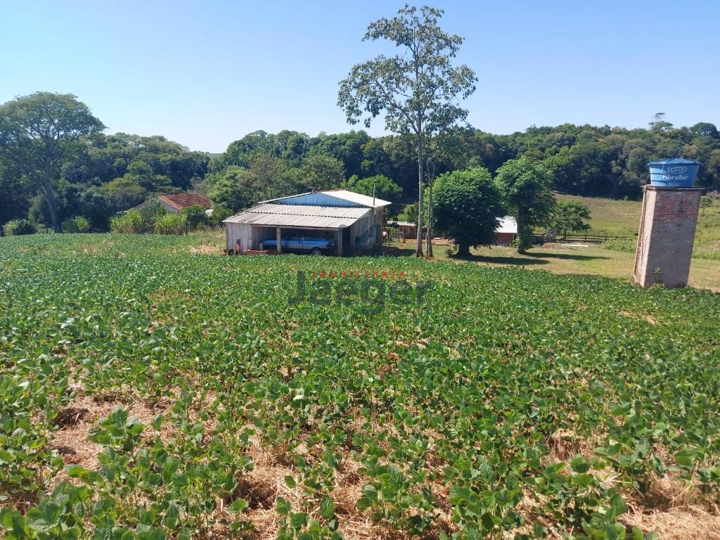 Fazenda à venda com 3 quartos, 79000m² - Foto 34