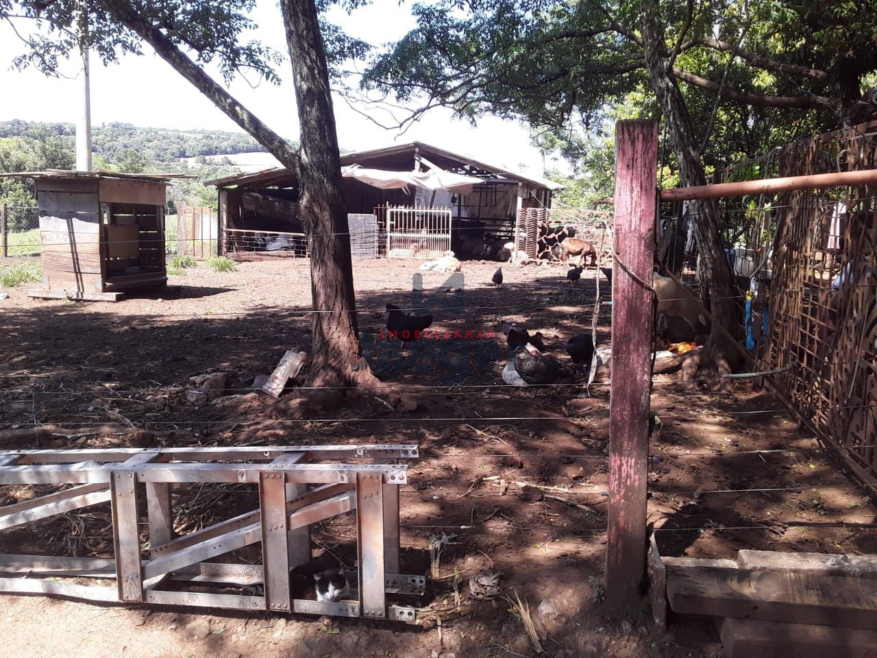 Fazenda à venda com 2 quartos, 180000m² - Foto 6