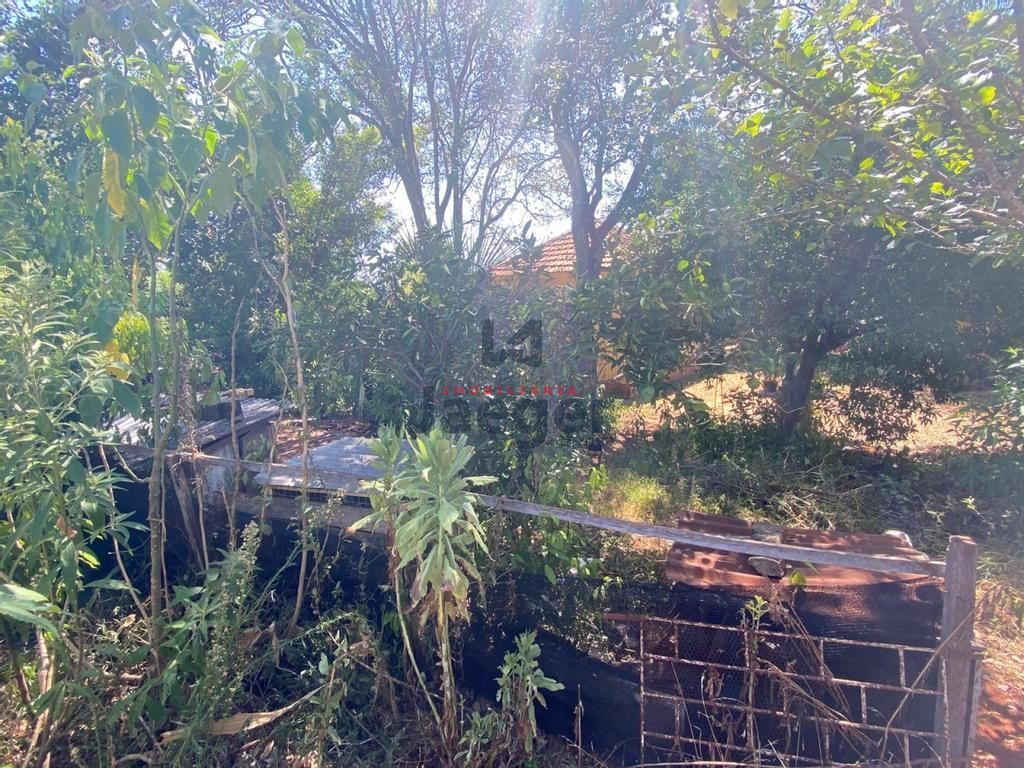 Terreno, 1612 m² - Foto 5