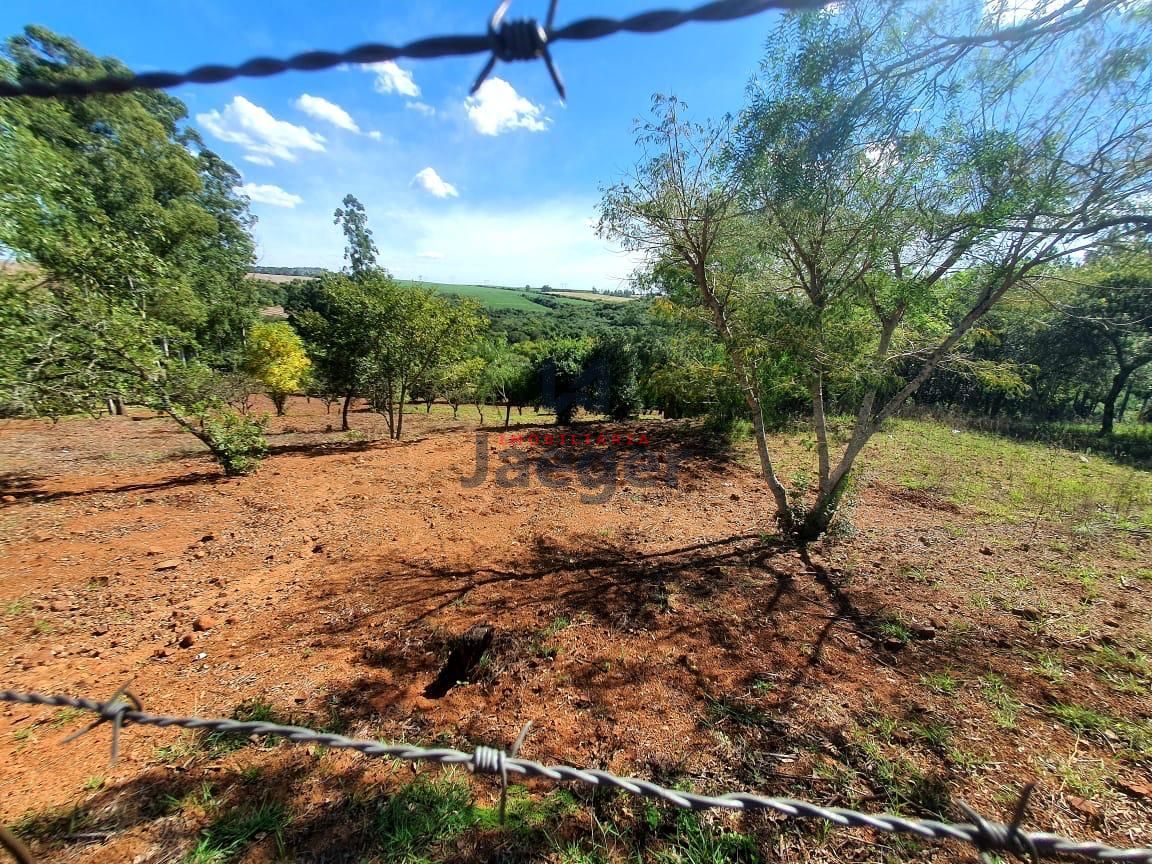 Fazenda à venda - Foto 7