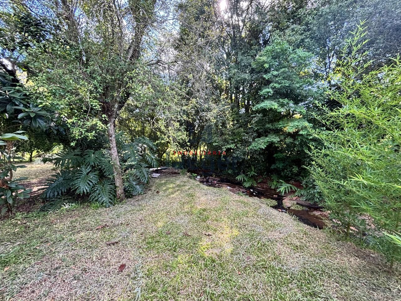 Chácara, 2877 m² - Foto 22