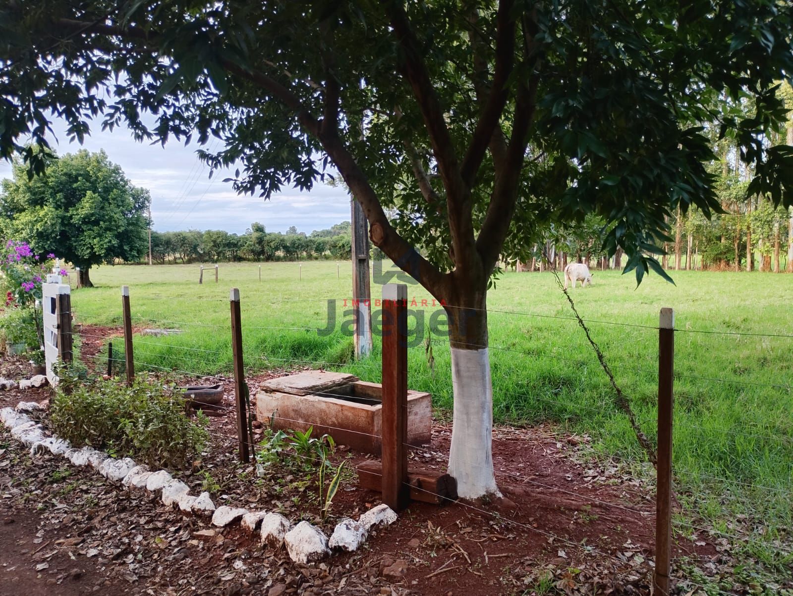 Loteamento e Condomínio à venda, 210000m² - Foto 19