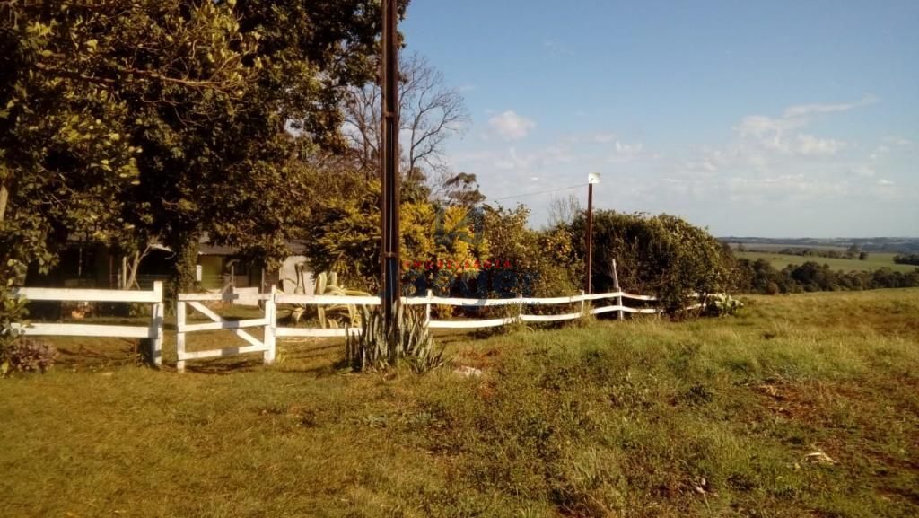 Chácara, 2 hectares - Foto 2