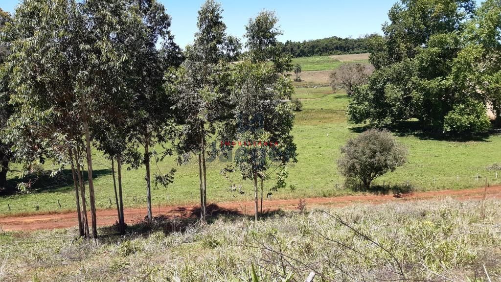 Fazenda à venda com 3 quartos, 79000m² - Foto 26