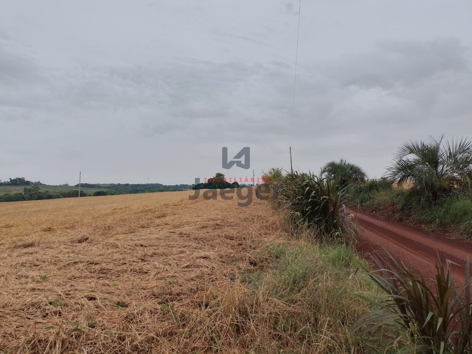 Fazenda à venda com 2 quartos, 125000m² - Foto 13