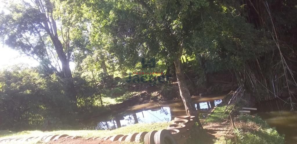 Chácara à venda com 2 quartos, 18000m² - Foto 18