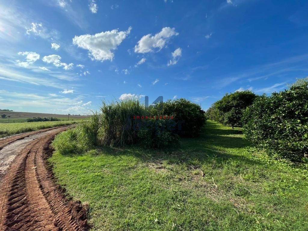 Fazenda à venda com 3 quartos, 192m² - Foto 31