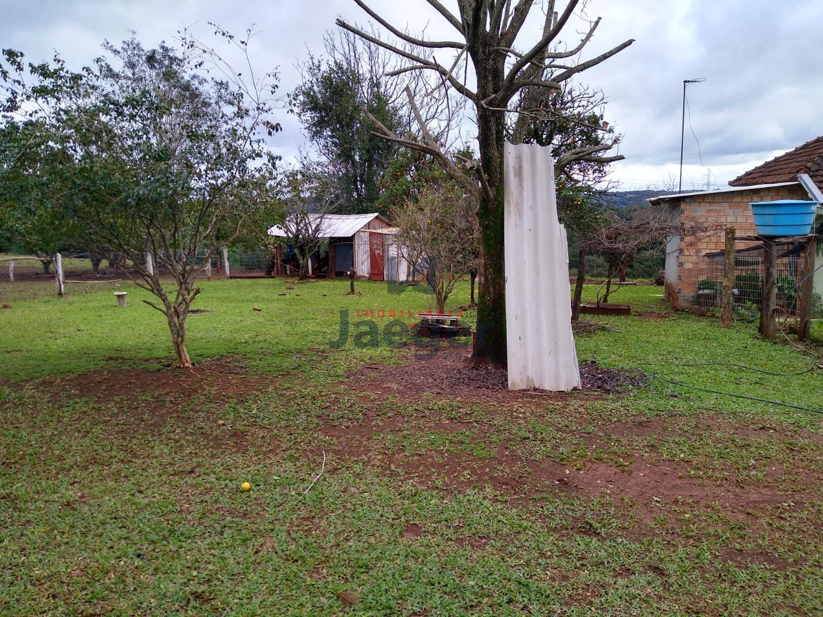 Sítio, 15 hectares - Foto 11