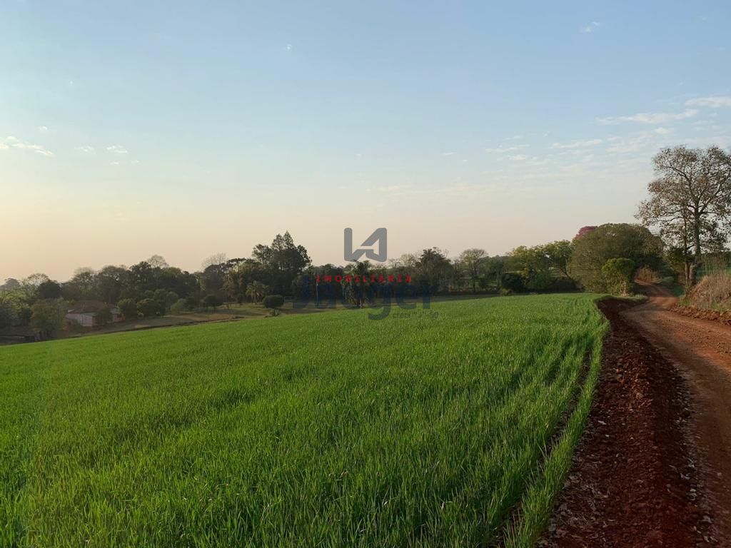 Fazenda à venda com 3 quartos, 140m² - Foto 45