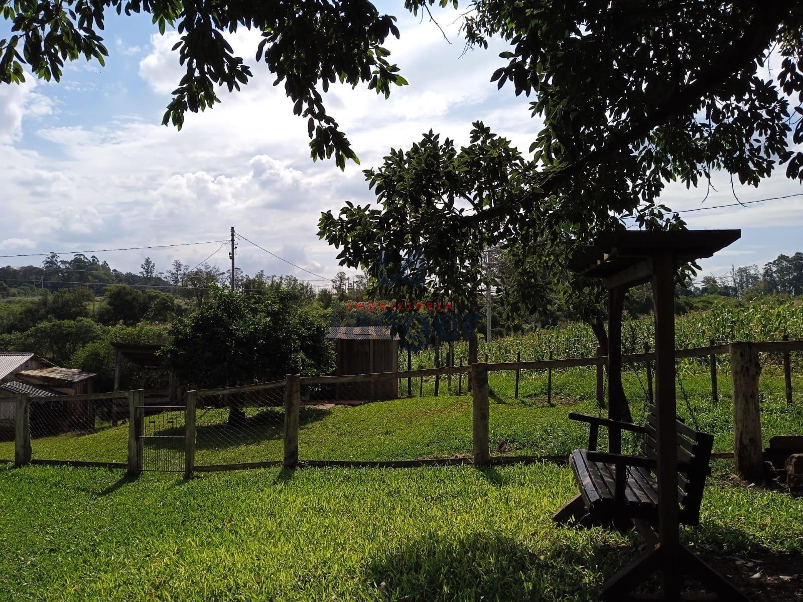 Fazenda à venda com 3 quartos, 15000m² - Foto 5