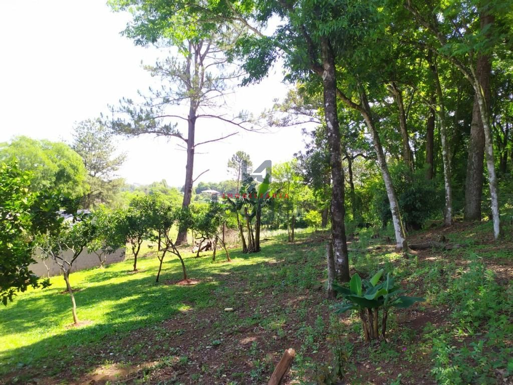 Fazenda à venda com 2 quartos, 125000000m² - Foto 25