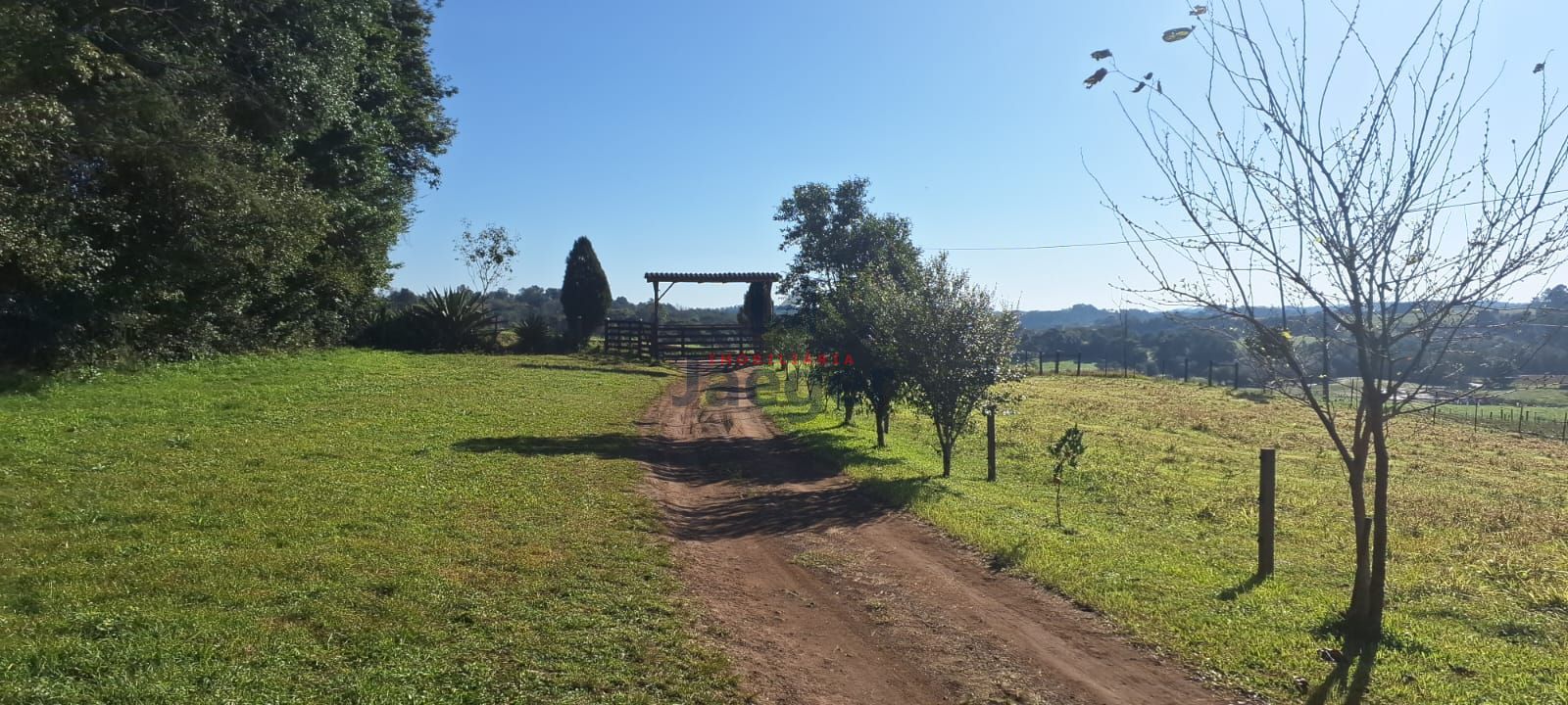 Fazenda à venda com 3 quartos, 2m² - Foto 15