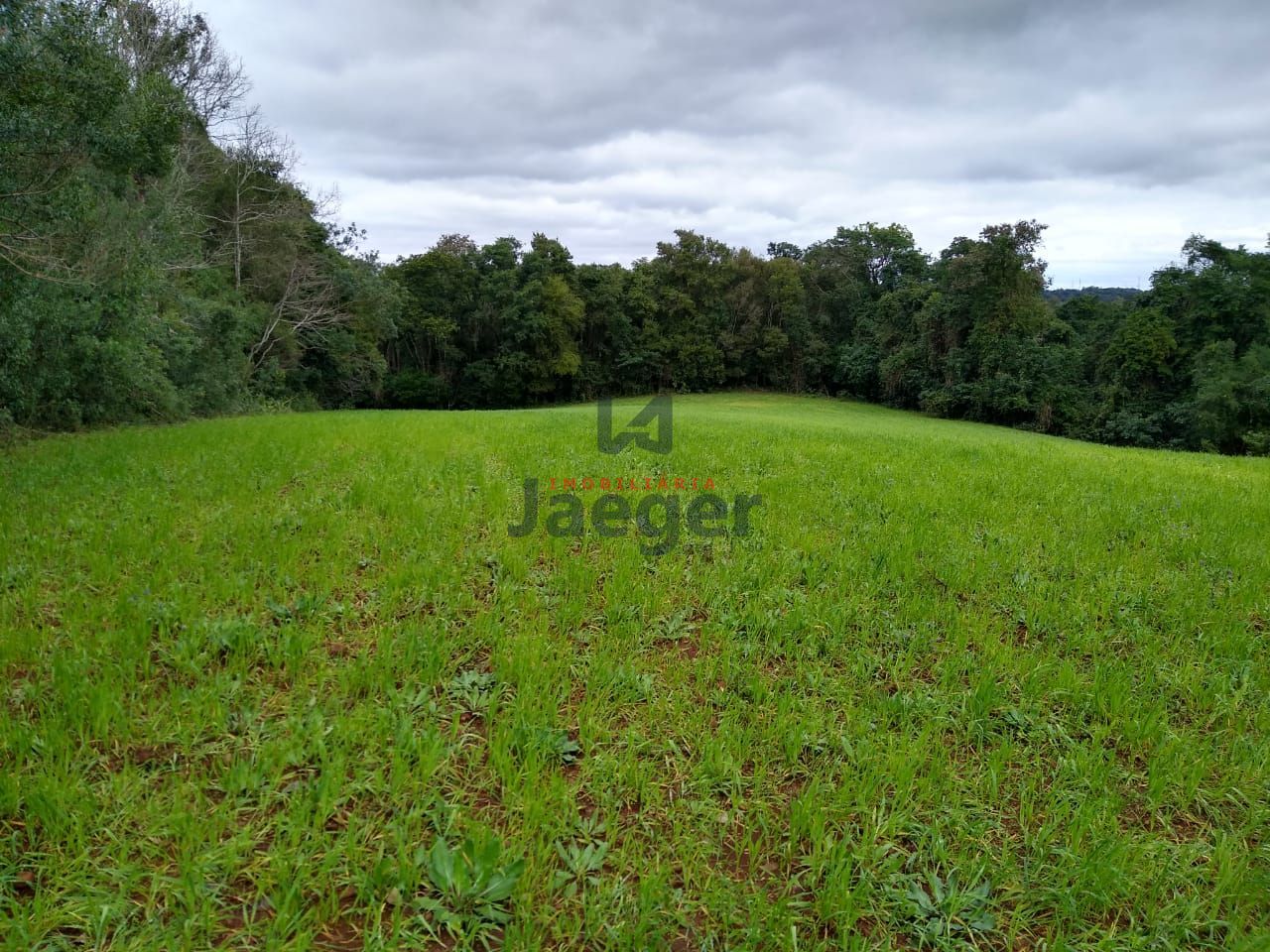 Fazenda à venda com 2 quartos, 150000m² - Foto 25