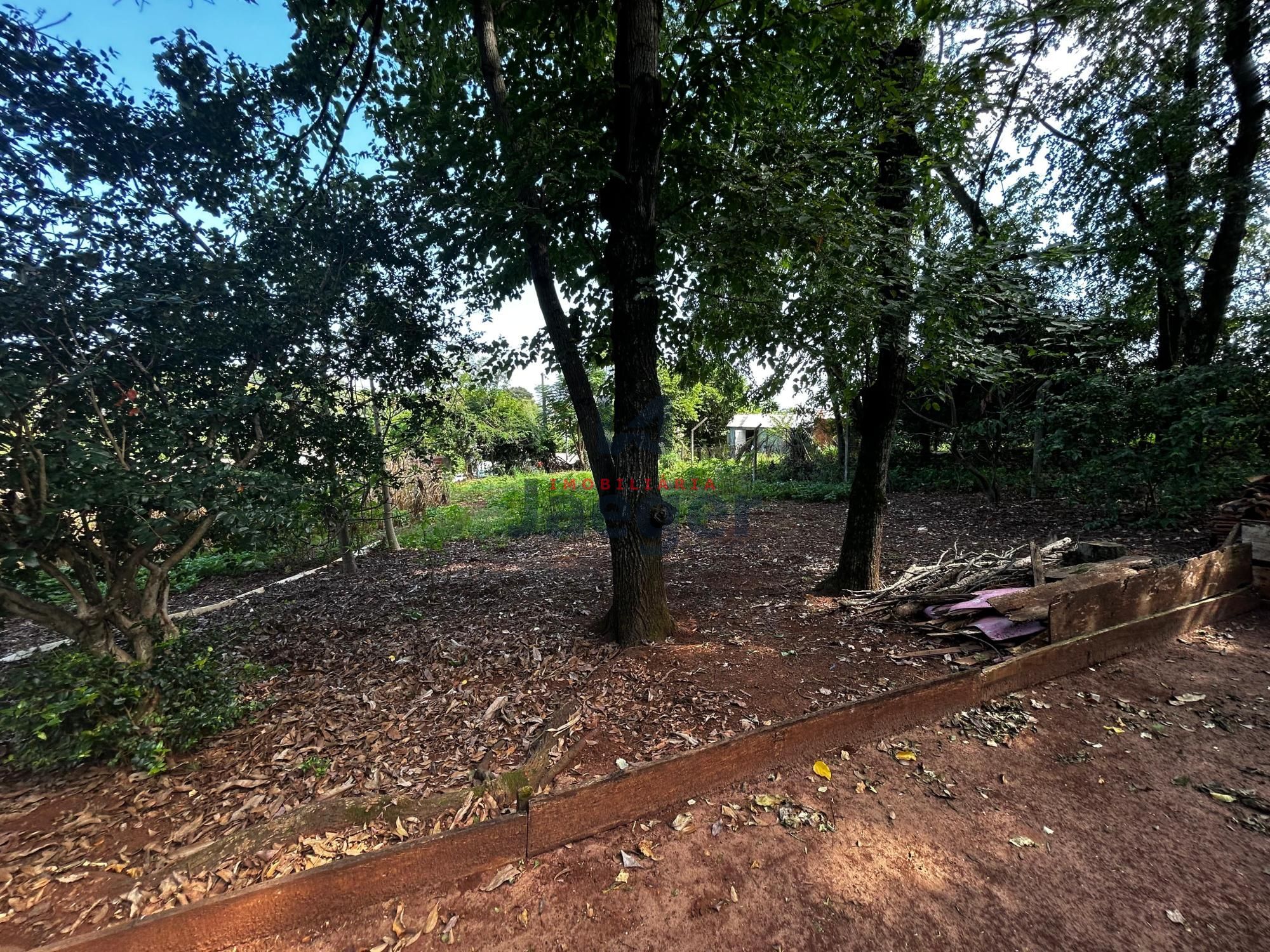 Terreno, 3000 m² - Foto 5