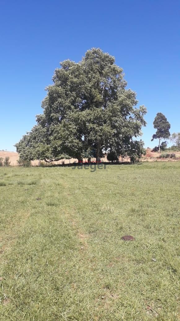 Fazenda à venda com 3 quartos, 79000m² - Foto 12