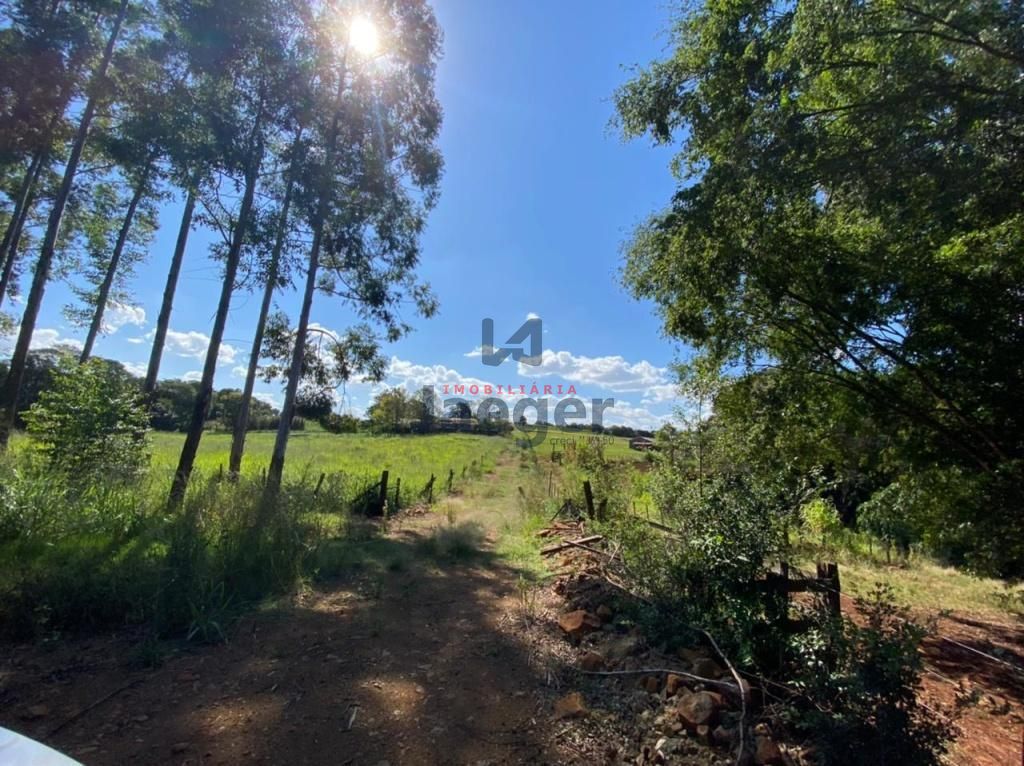 Sítio, 2000 m² - Foto 6