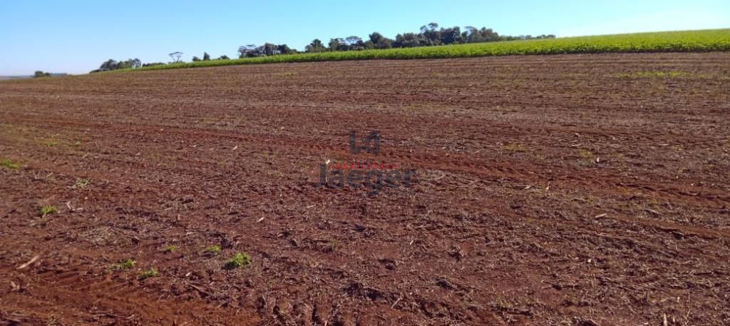 Loteamento e Condomínio à venda, 130000m² - Foto 6