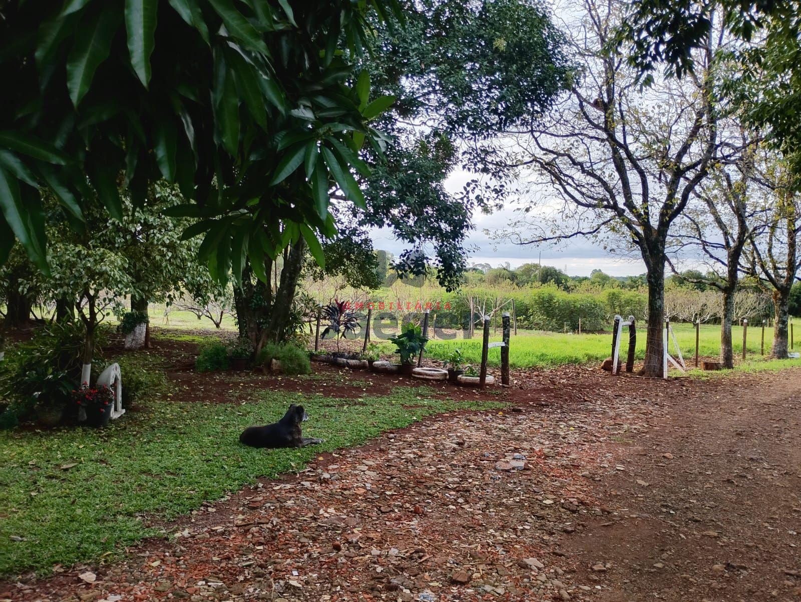 Loteamento e Condomínio à venda, 210000m² - Foto 20