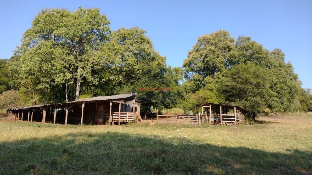 Fazenda à venda com 2 quartos, 22000m² - Foto 8