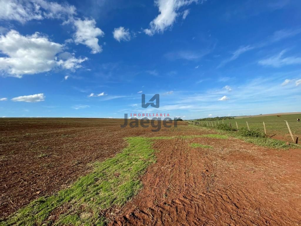 Fazenda à venda com 3 quartos, 192m² - Foto 6