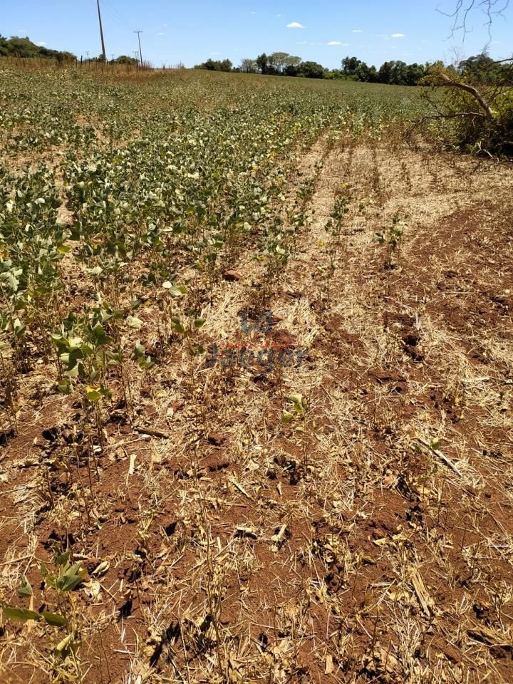 Sítio, 2 hectares - Foto 3