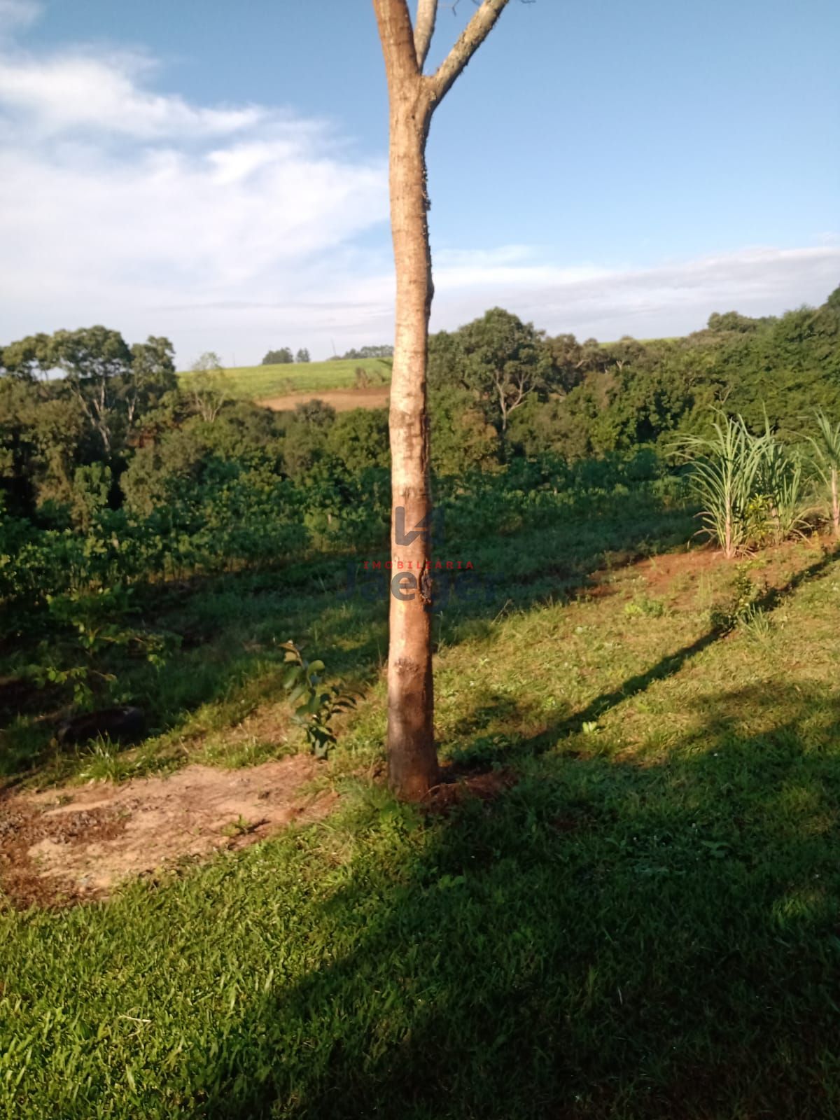 Fazenda à venda com 2 quartos, 100000000m² - Foto 13