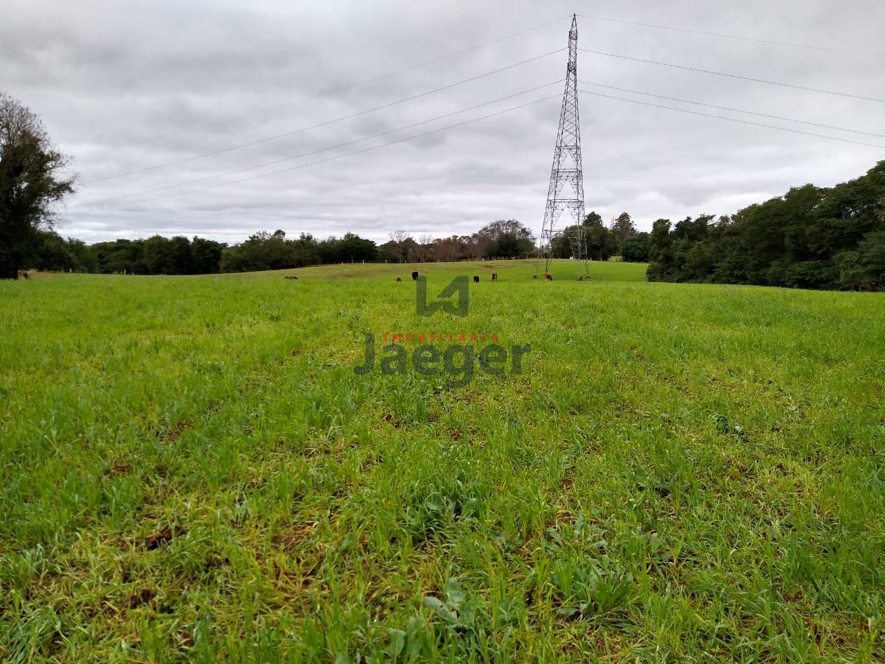 Fazenda à venda com 2 quartos, 150000m² - Foto 22