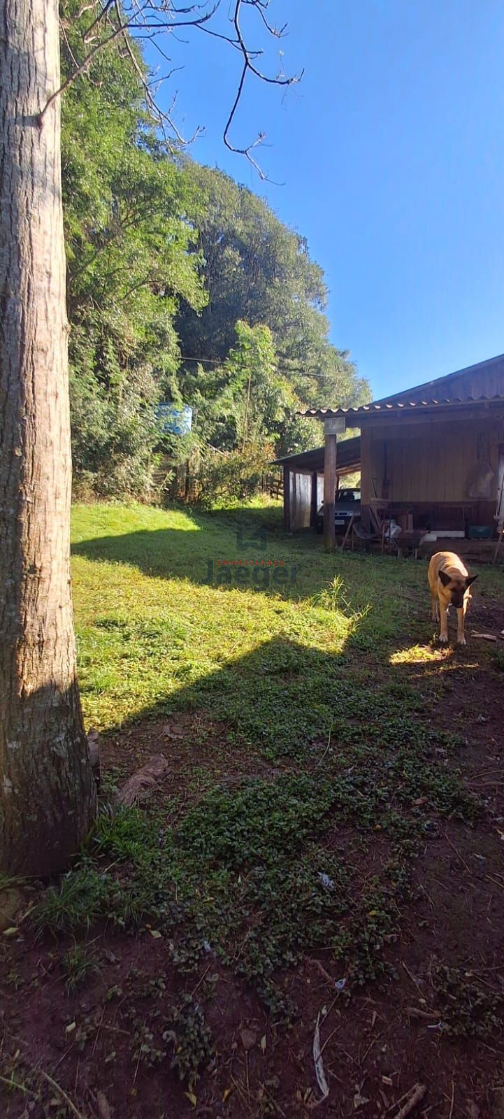 Fazenda à venda com 3 quartos, 2m² - Foto 10