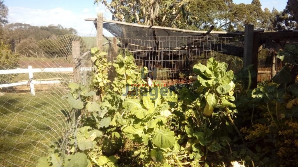 Chácara, 2 hectares - Foto 15