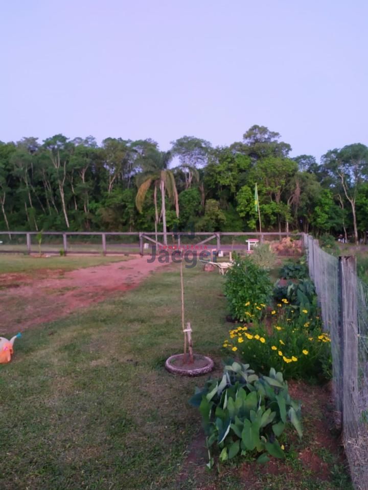 Fazenda à venda com 2 quartos, 125000000m² - Foto 17