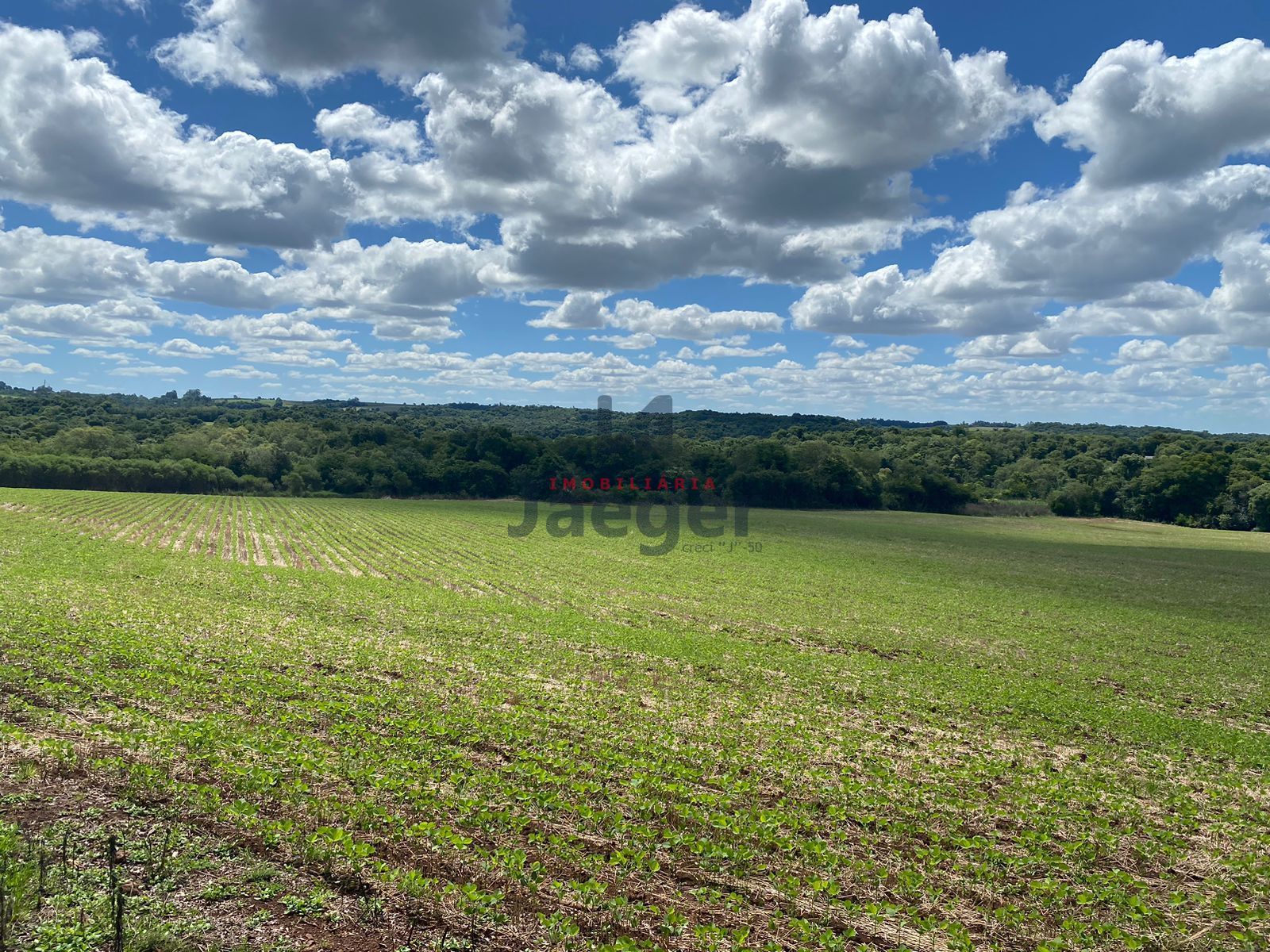 Loteamento e Condomínio à venda, 210000m² - Foto 25