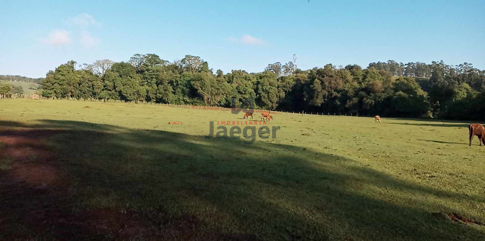 Fazenda à venda com 1 quarto, 200000000m² - Foto 4