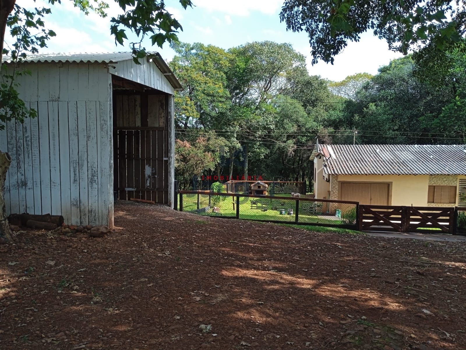 Fazenda à venda com 3 quartos, 15000m² - Foto 8