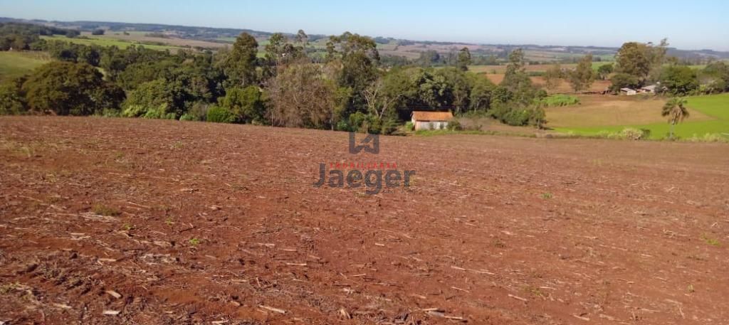 Fazenda, 13 hectares - Foto 4