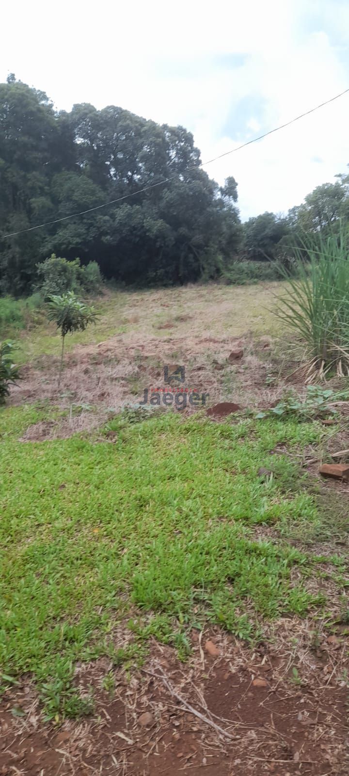 Chácara, 1 hectares - Foto 4