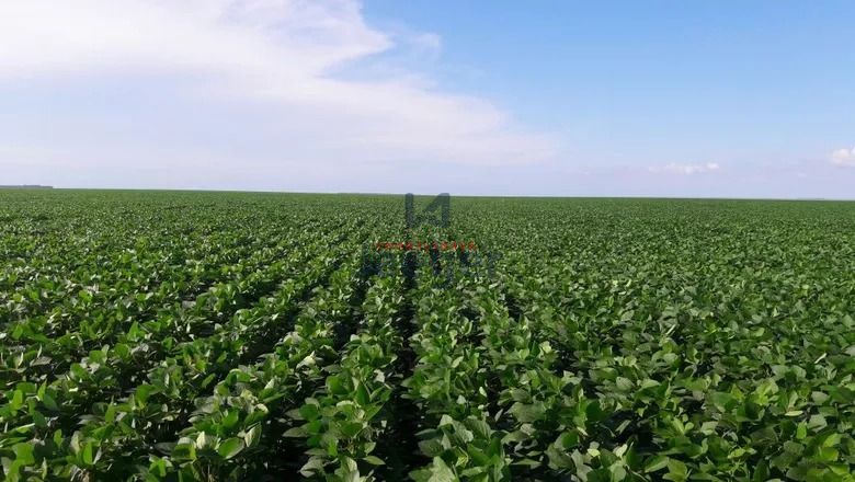 Fazenda, 100 hectares - Foto 1