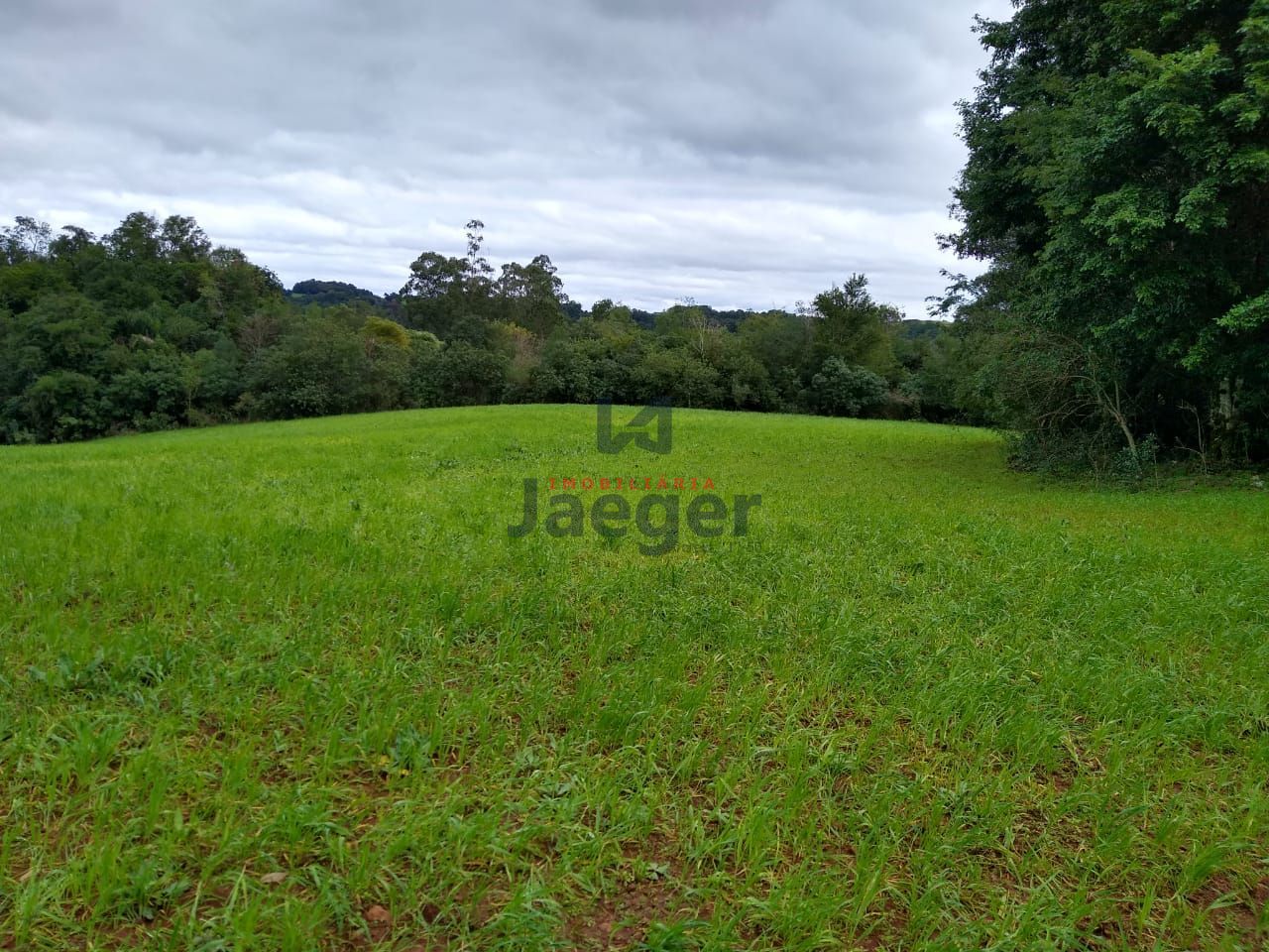 Fazenda à venda com 2 quartos, 150000m² - Foto 1