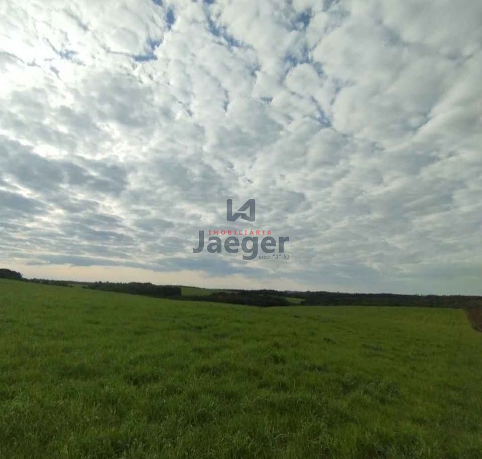 Fazenda, 54 hectares - Foto 5