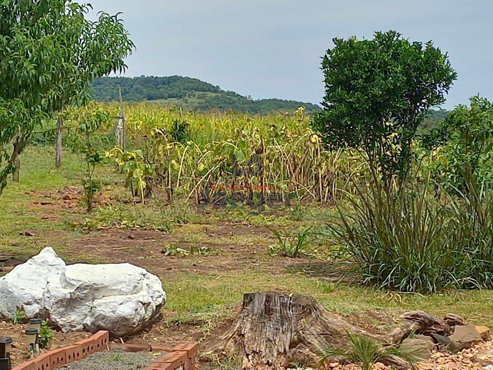 Loteamento e Condomínio à venda, 60000000m² - Foto 17