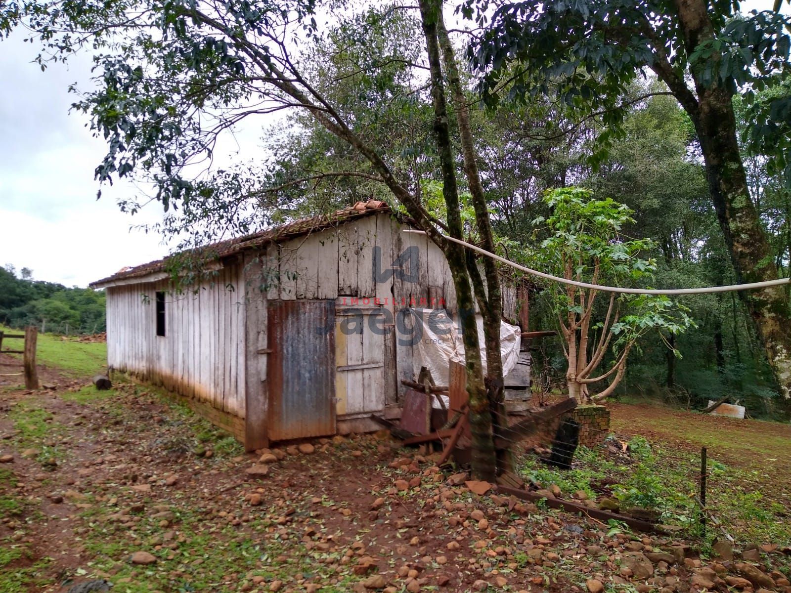 Sítio, 15 hectares - Foto 9